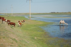 dsc_0083 dsc_0083