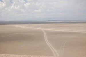 DSC_0114 DSC_0114