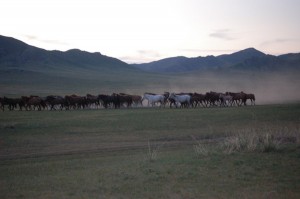 DSC_0207 DSC_0207