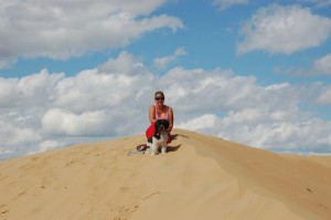 DSC_0233 DSC_0233