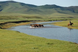 DSC_0253 DSC_0253