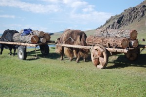 DSC_0319 DSC_0319