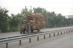 DSC_0110 DSC_0110
