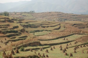 DSC_0355 DSC_0355