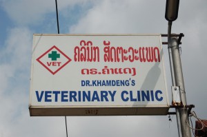 DSC_0210